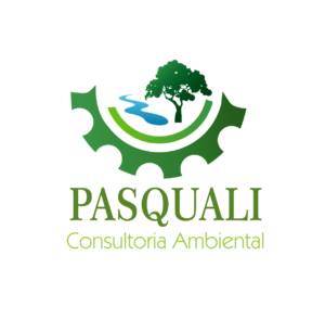 Logo novo Consultoria